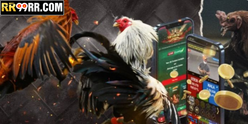 Đá Gà SV388 – Nền Tảng Đá Gà Trực Tuyến Uy Tín Hàng Đầu