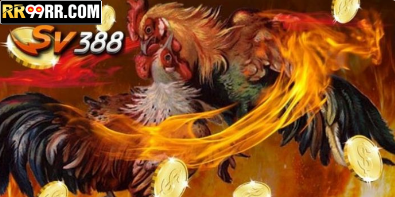 Các kèo cược phổ biến tại SV388