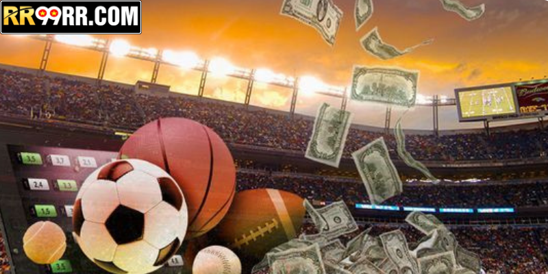 Tham gia cá cược bóng rổ hay